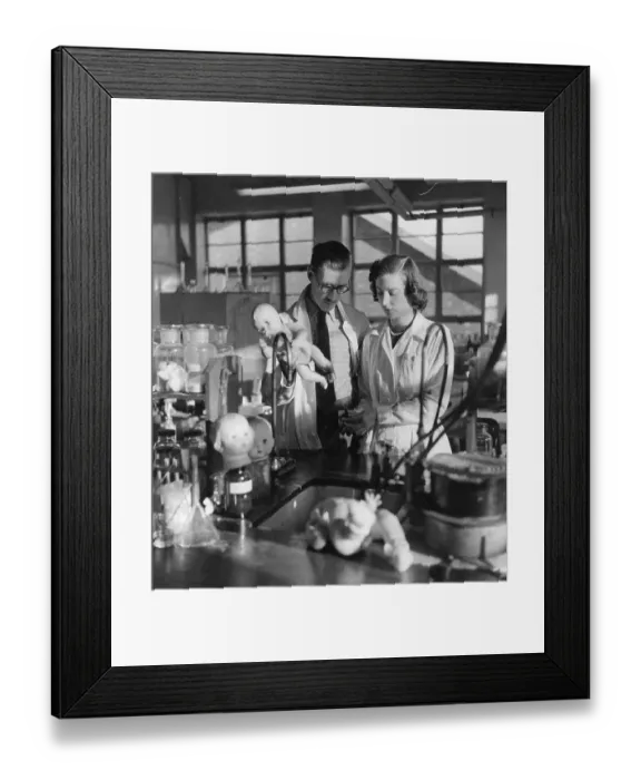Framed Print : Doll Laboratory