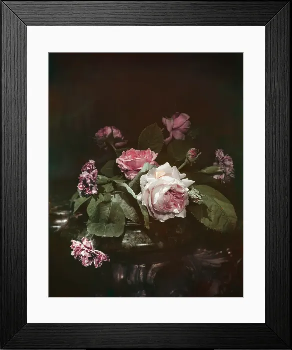 Framed Print : Roses And Carnations Framed Print : Roses And Carnations