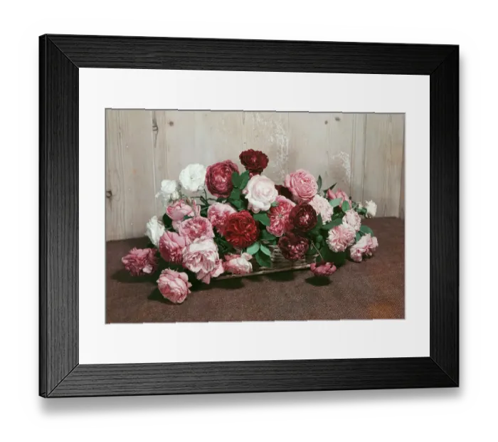 Framed Print : Arrangement Of Roses