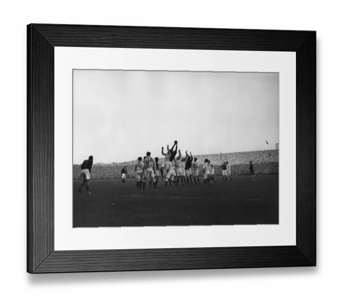 Framed Print : Scotland V South Africa Framed Print : Scotland V South Africa