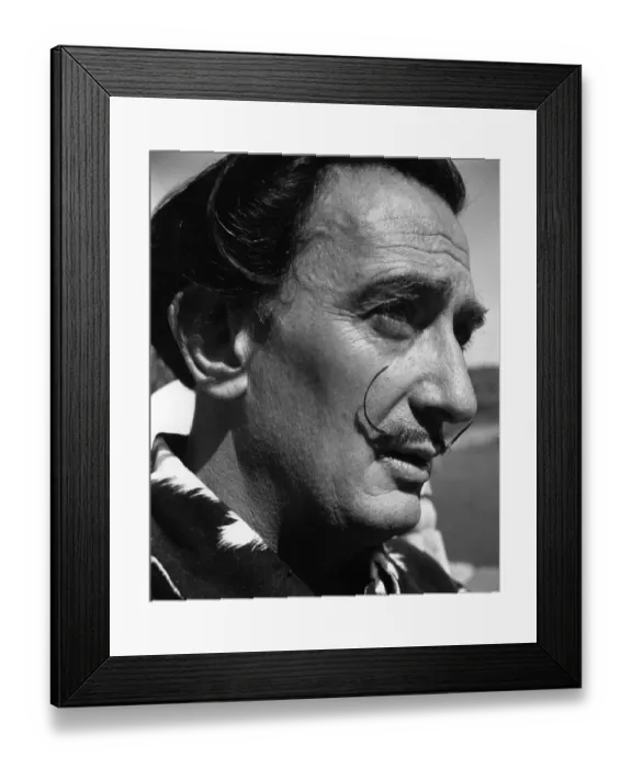 Framed Print : Another Side Of Dali Framed Print : Another Side Of Dali