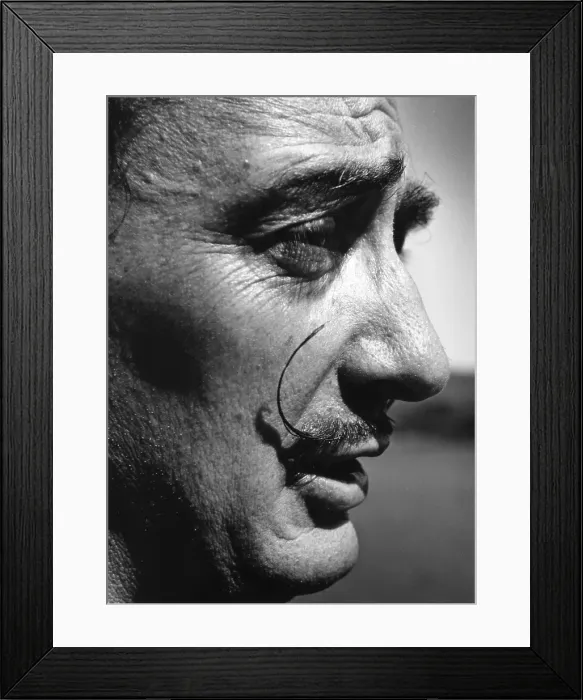 Framed Print : Dali In Profile Framed Print : Dali In Profile