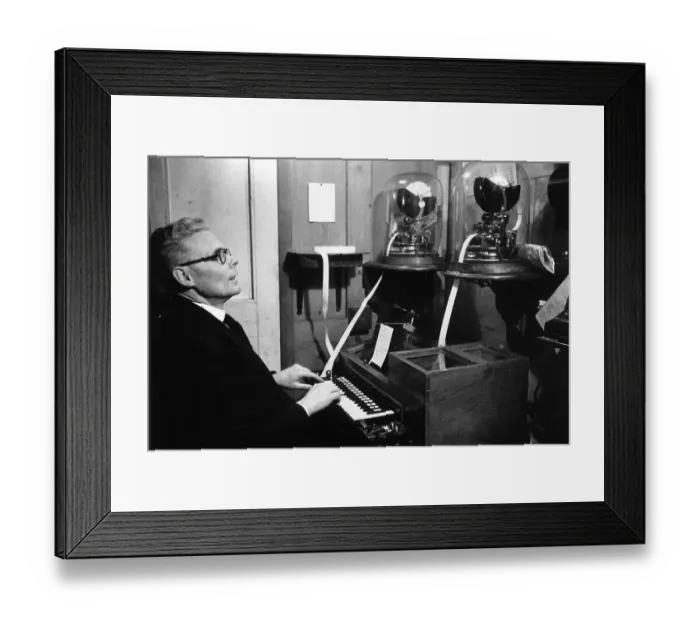 Framed Print : Share Rises ? Framed Print : Share Rises ?