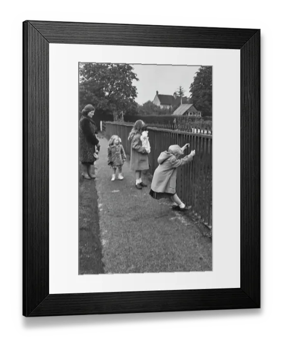 Framed Print : Jon Whiteley Framed Print : Jon Whiteley