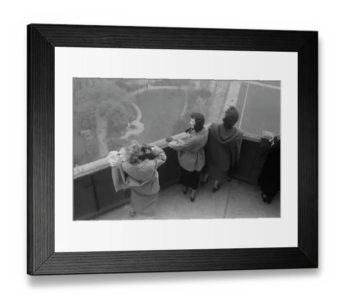 Framed Print : Bluebells Up The Eiffel Tower Framed Print : Bluebells Up The Eiffel Tower