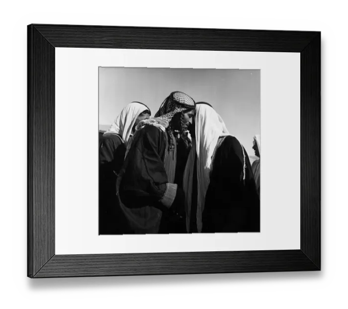 Framed Print : Arab League Framed Print : Arab League