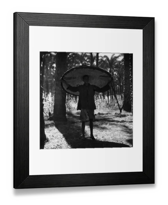 Framed Print : Sun Shade. October 1951: A man sheltering from the sun in Egypt under a wide-brimmed hat Framed Print : Sun Shade. October 1951: A man sheltering from the sun in Egypt under a wide-brimmed hat