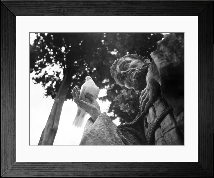 Framed Print : St Francis Framed Print : St Francis