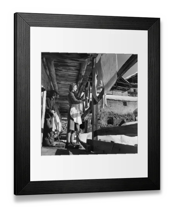 Framed Print : Alpine Life Framed Print : Alpine Life