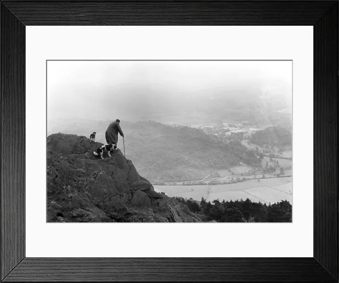 Framed Print : Snowdonia. 11th August 1951: A farmer and his dogs high up in Snowdonia Framed Print : Snowdonia. 11th August 1951: A farmer and his dogs high up in Snowdonia