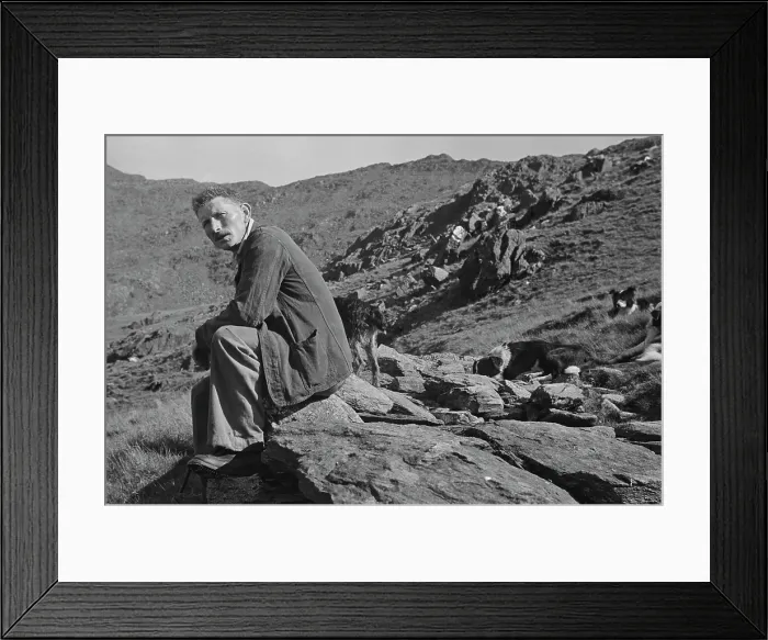 Framed Print : Sheep Shearing In Snowdonia Framed Print : Sheep Shearing In Snowdonia