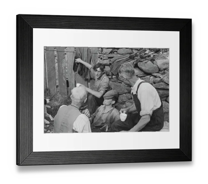 Framed Print : Sheep Shearing In Snowdonia Framed Print : Sheep Shearing In Snowdonia