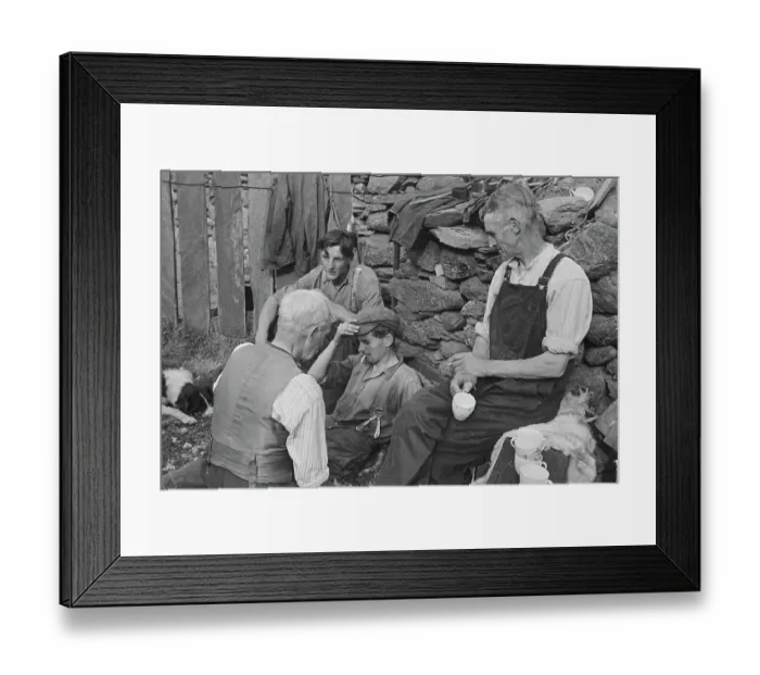 Framed Print : Sheep Shearing In Snowdonia Framed Print : Sheep Shearing In Snowdonia