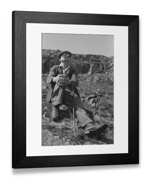 Framed Print : Sheep Shearing In Snowdonia