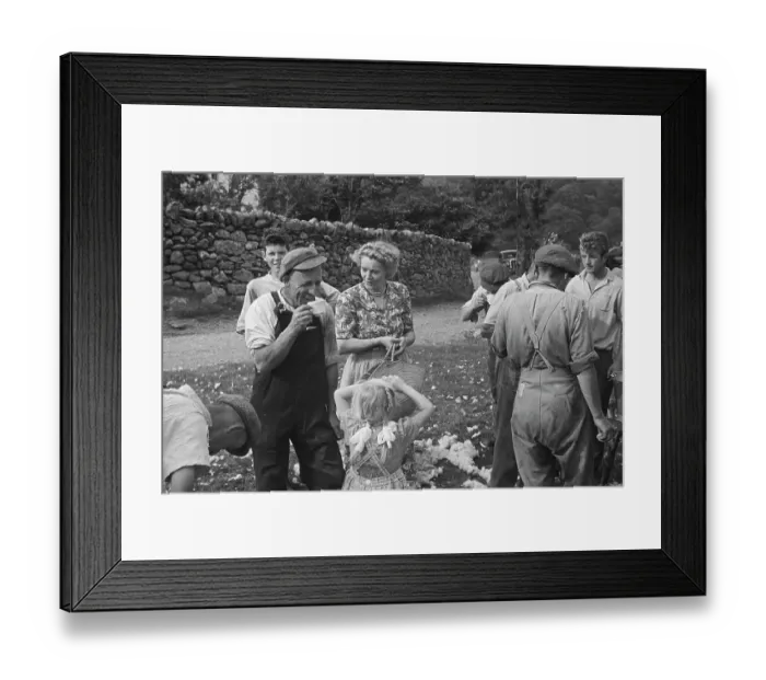 Framed Print : Sheep Shearing In Snowdonia Framed Print : Sheep Shearing In Snowdonia