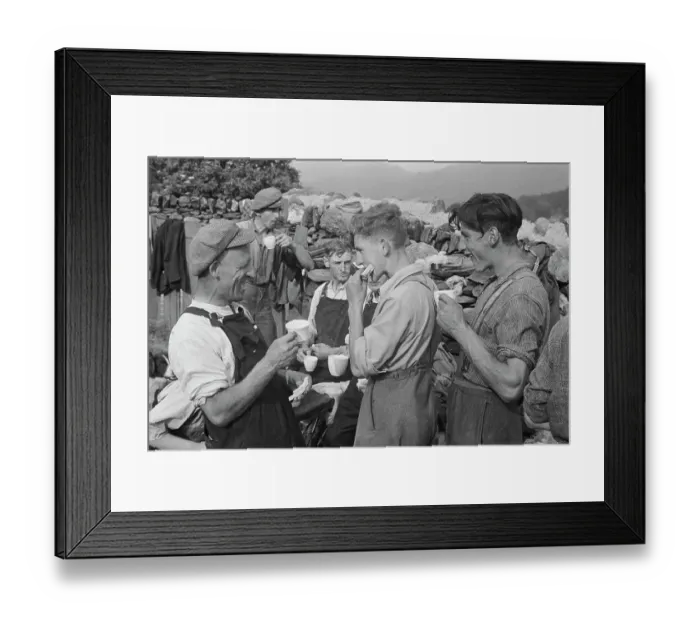 Framed Print : Sheep Shearing In Snowdonia Framed Print : Sheep Shearing In Snowdonia