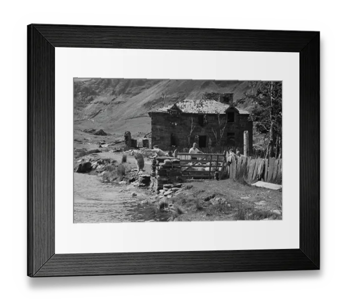 Framed Print : Sheep Shearing In Snowdonia Framed Print : Sheep Shearing In Snowdonia