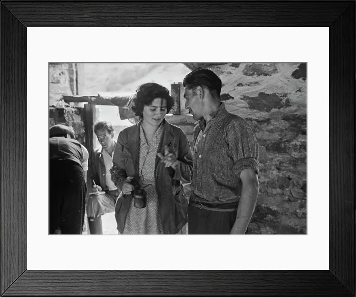 Framed Print : Sheep Shearing In Snowdonia Framed Print : Sheep Shearing In Snowdonia