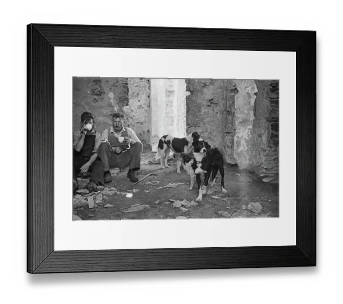 Framed Print : Sheep Shearing In Snowdonia Framed Print : Sheep Shearing In Snowdonia