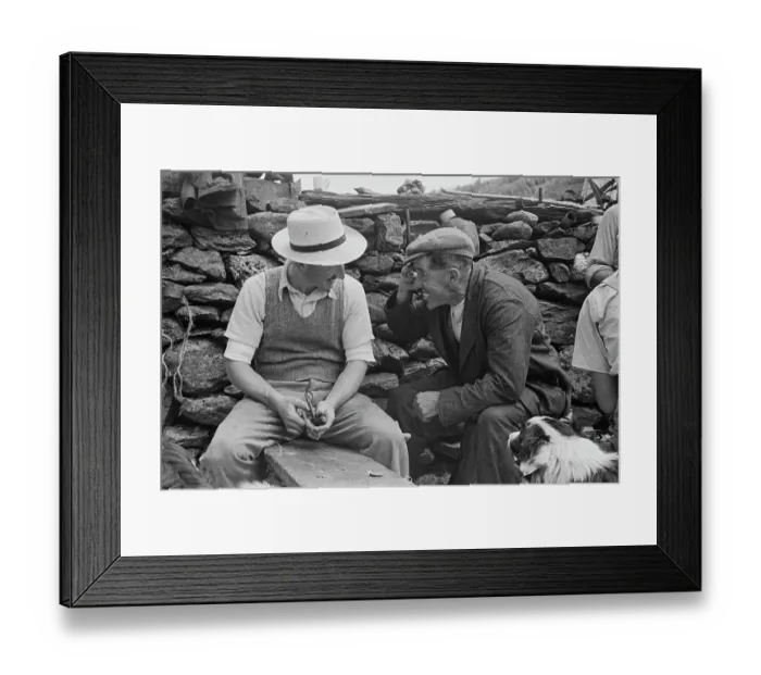 Framed Print : Sheep Shearing In Snowdonia Framed Print : Sheep Shearing In Snowdonia