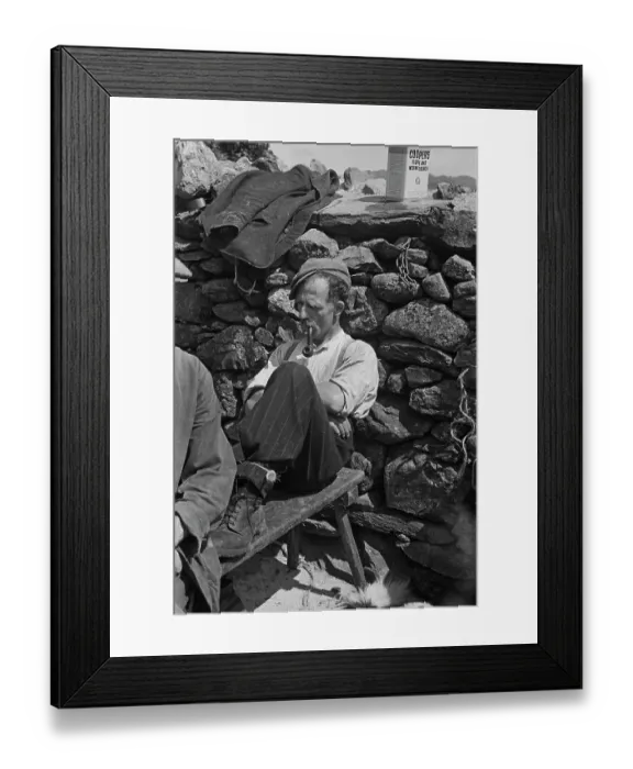 Framed Print : Sheep Shearing In Snowdonia Framed Print : Sheep Shearing In Snowdonia