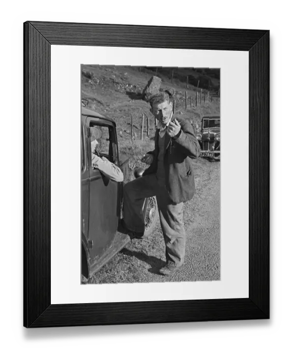 Framed Print : Sheep Shearing In Snowdonia Framed Print : Sheep Shearing In Snowdonia
