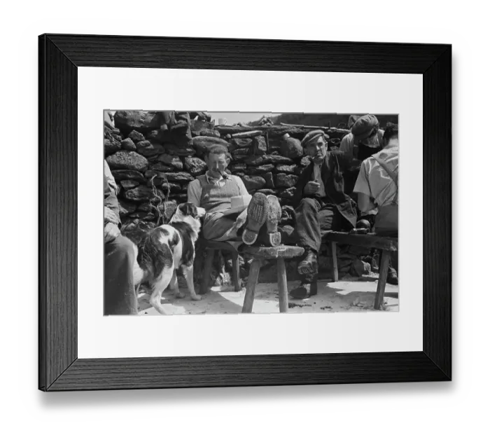 Framed Print : Sheep Shearing In Snowdonia Framed Print : Sheep Shearing In Snowdonia