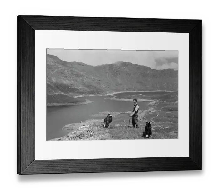 Framed Print : Farming Life In Snowdonia Framed Print : Farming Life In Snowdonia