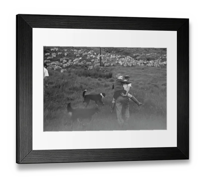 Framed Print : Farming Life In Snowdonia Framed Print : Farming Life In Snowdonia