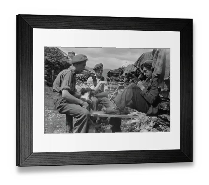 Framed Print : Sheep Shearing In Snowdonia Framed Print : Sheep Shearing In Snowdonia