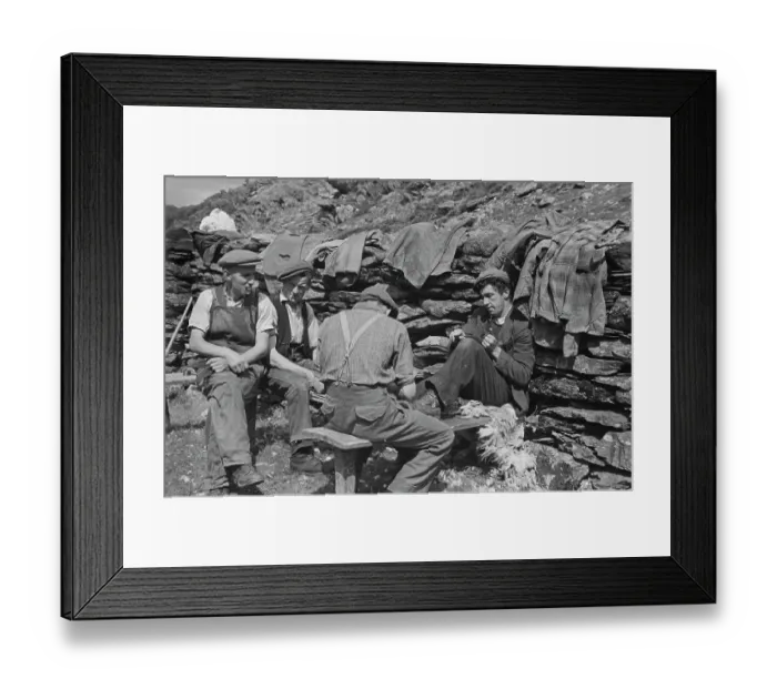Framed Print : Sheep Shearing In Snowdonia Framed Print : Sheep Shearing In Snowdonia