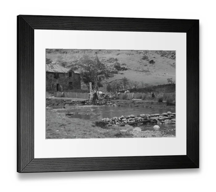 Framed Print : Sheep Shearing In Snowdonia Framed Print : Sheep Shearing In Snowdonia