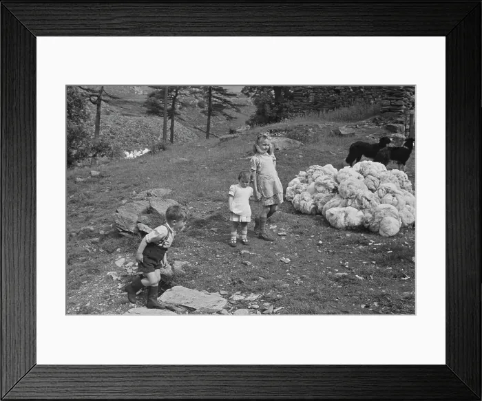 Framed Print : Farming Life In Snowdonia Framed Print : Farming Life In Snowdonia