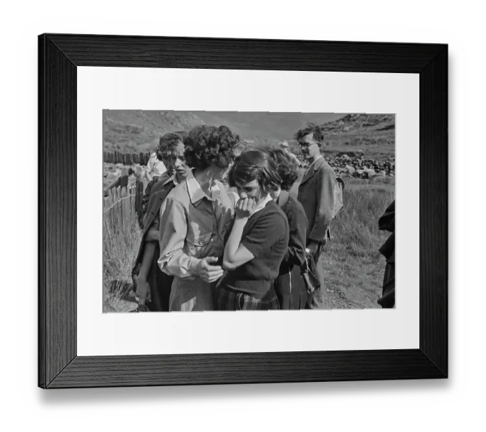 Framed Print : Sheep Shearing In Snowdonia Framed Print : Sheep Shearing In Snowdonia