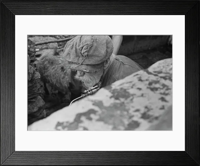 Framed Print : Sheep Shearing In Snowdonia Framed Print : Sheep Shearing In Snowdonia