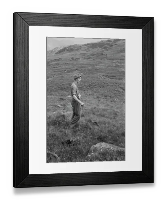 Framed Print : Farming Life In Snowdonia Framed Print : Farming Life In Snowdonia