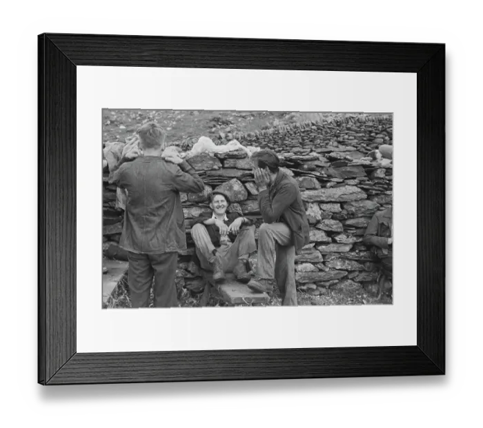 Framed Print : Sheep Shearing In Snowdonia Framed Print : Sheep Shearing In Snowdonia
