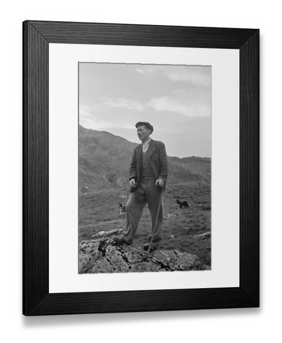 Framed Print : Sheep Shearing In Snowdonia Framed Print : Sheep Shearing In Snowdonia