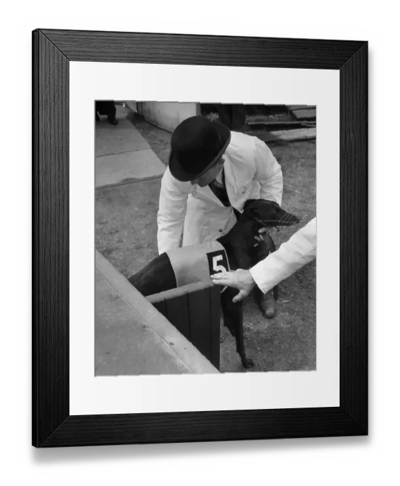 Framed Print : Black Mire Framed Print : Black Mire