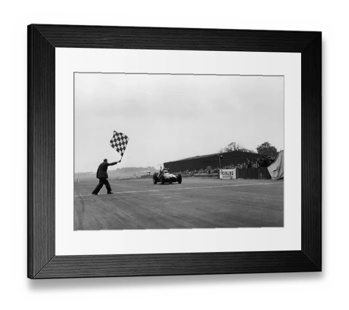 Framed Print : The Pampas Bull Framed Print : The Pampas Bull