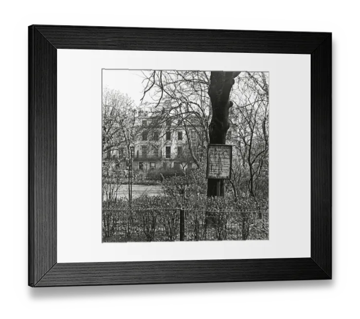Framed Print : London Square Framed Print : London Square