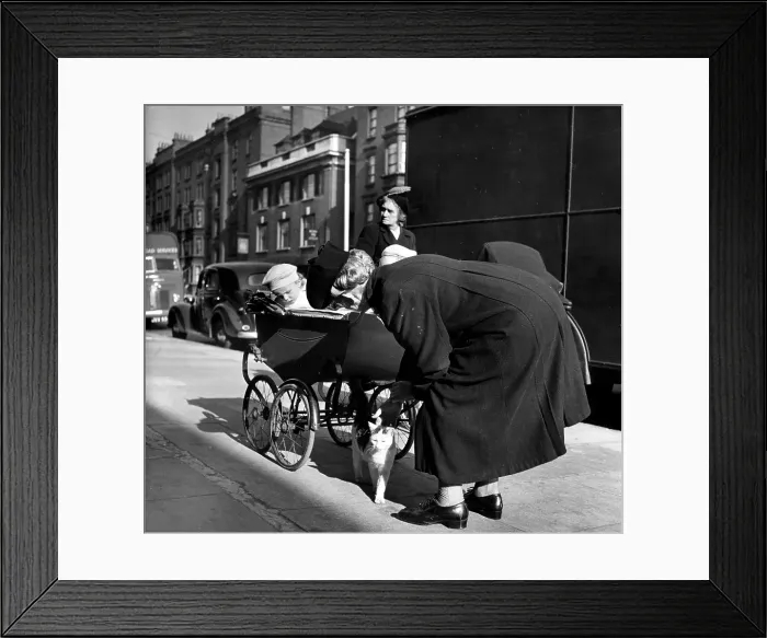 Framed Print : Cat Lover. 26th May 1951: An old lady with a pram stops in the street to