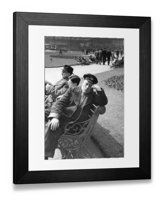 Framed Print : Lunchbreak Nap