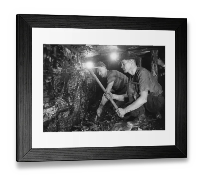 Framed Print : Coal Face. 3rd March 1951: Miners work hard in cramped conditions at the