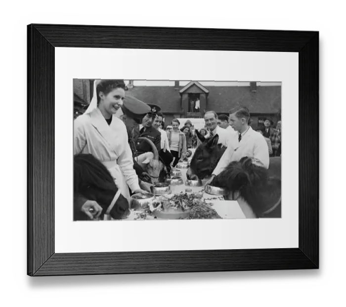 Framed Print : Lewis The Goat's Retirement Celebrations, 1951 Framed Print : Lewis The Goat's Retirement Celebrations, 1951