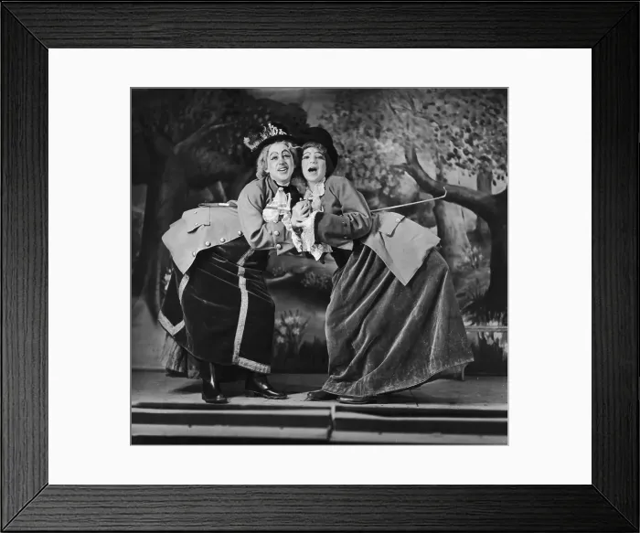 Framed Print : Ugly Sisters Framed Print : Ugly Sisters