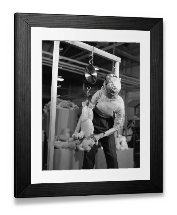 Framed Print : Testing Teddy Framed Print : Testing Teddy