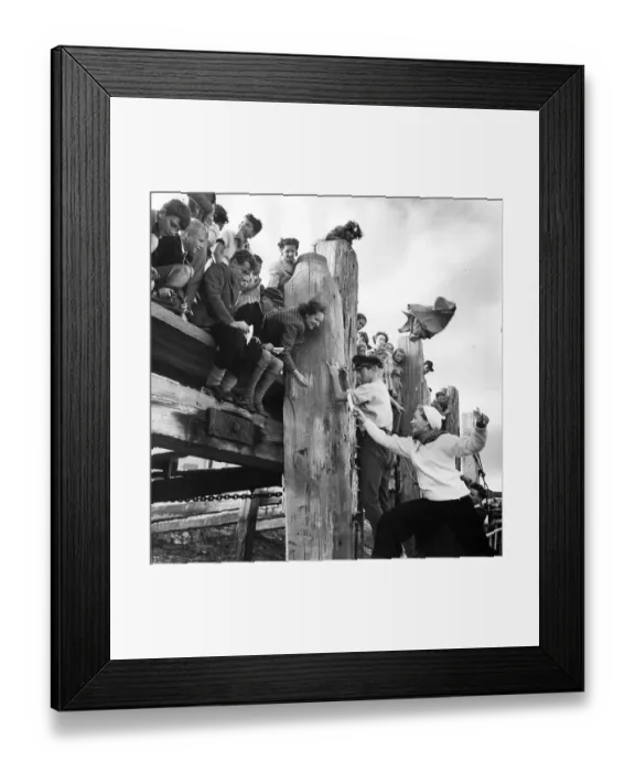Framed Print : Autograph Hunters Framed Print : Autograph Hunters