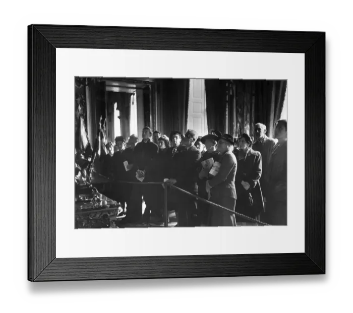 Framed Print : Visitors To Blenheim Framed Print : Visitors To Blenheim