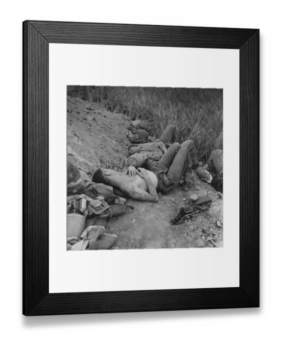 Framed Print : Sleeping Salute Framed Print : Sleeping Salute